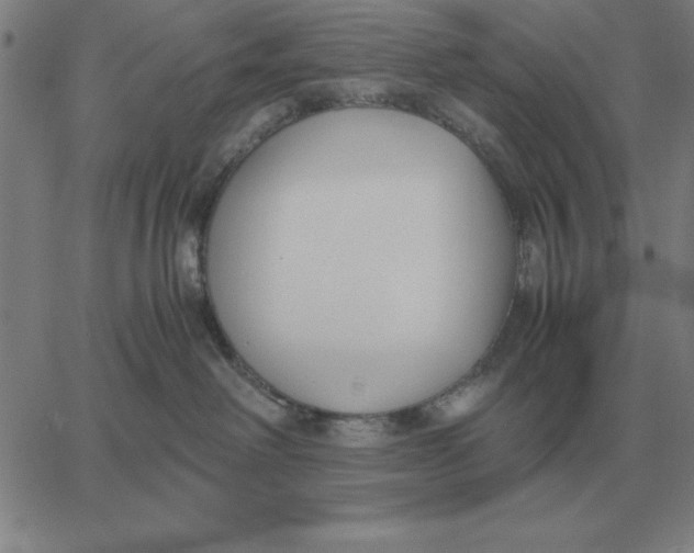 X0000061720238200512231416