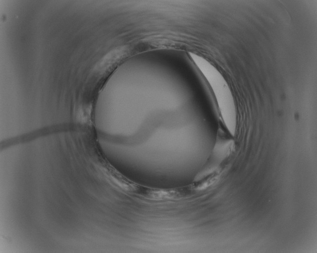 X0000061720239200512231416