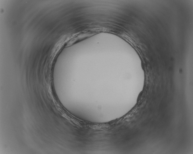 X0000061720241200512231416