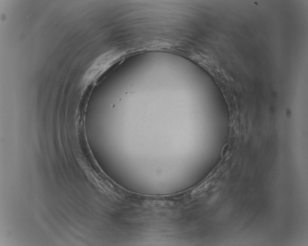 X0000061720242200512231416