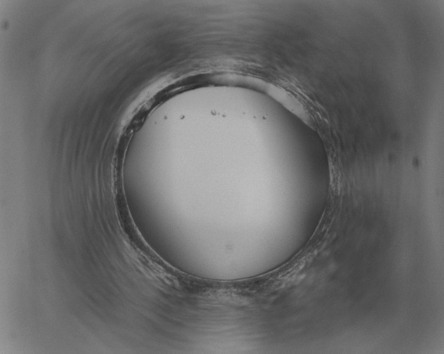 X0000061720244200512231416