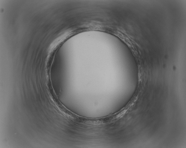 X0000061720245200512231416