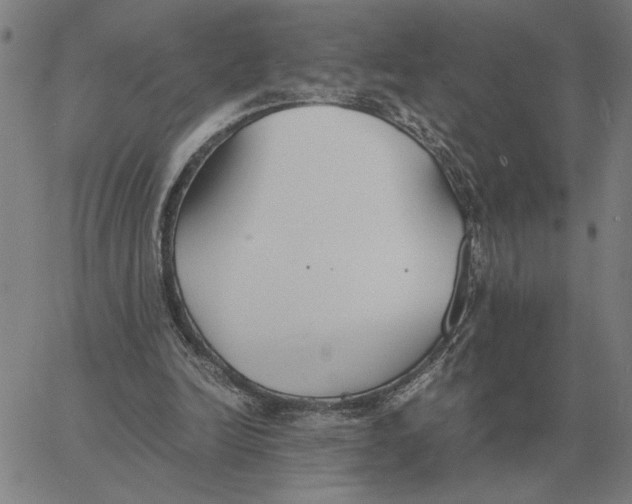 X0000061720246200512231416