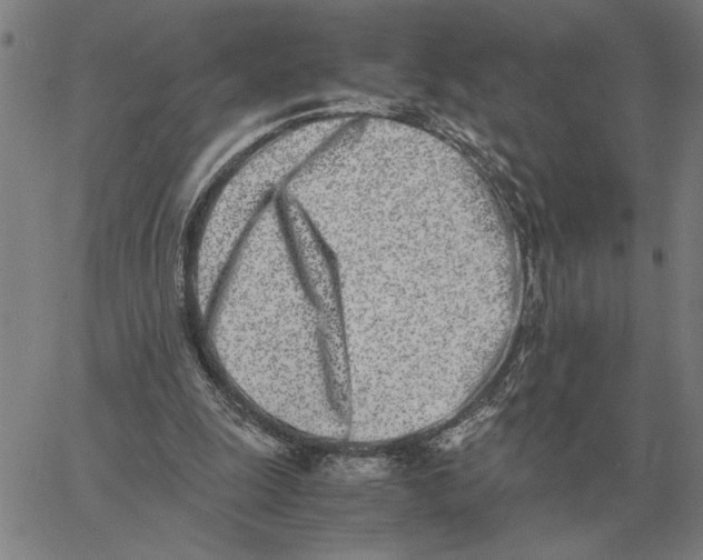 X0000061720247200512231416