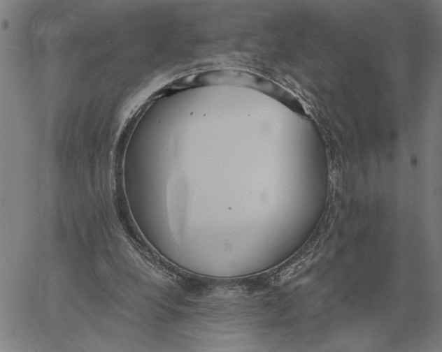 X0000061720248200512231416