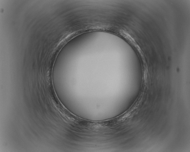 X0000061720249200512231416