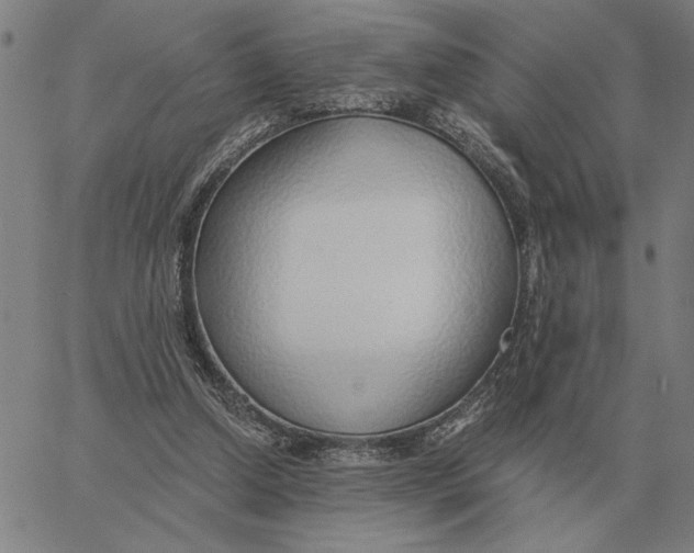 X0000061720250200512231416