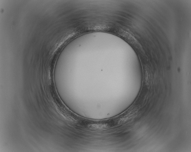 X0000061720251200512231416