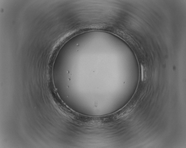 X0000061720252200512231416