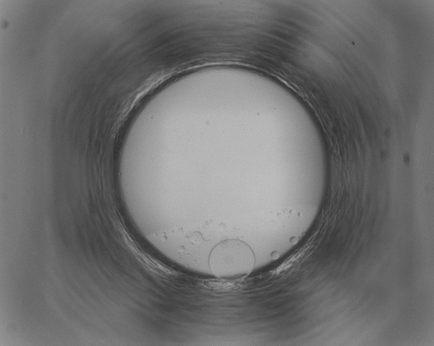 X0000061720253200512231416