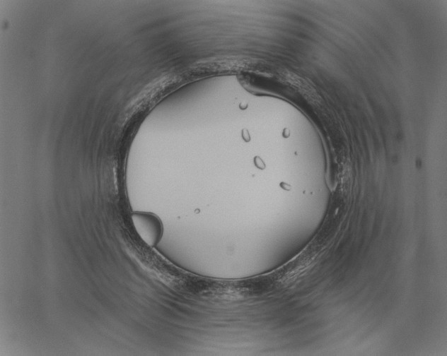 X0000061720254200512231416