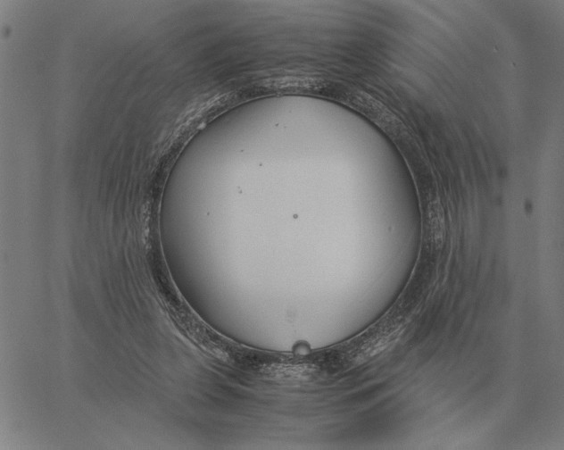 X0000061720255200512231416