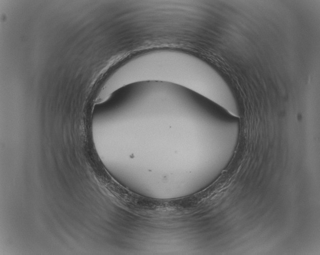 X0000061720256200512231416