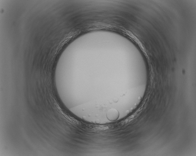 X0000061720257200512231416