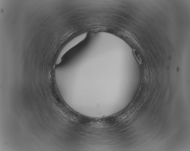 X0000061720259200512231416