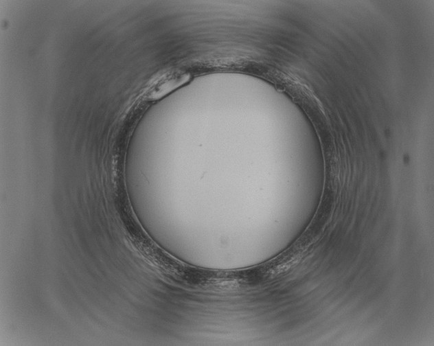 X0000061720260200512231416