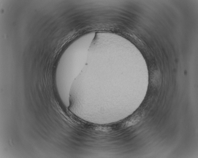 X0000061720261200512231416