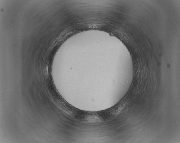 X0000061720262200512231416