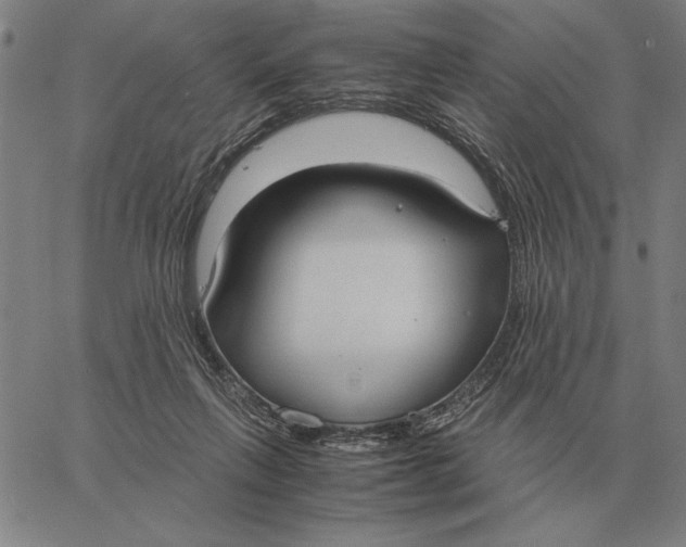 X0000061720263200512231416