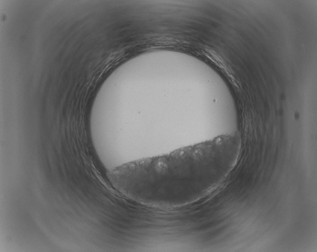 X0000061720265200512231416