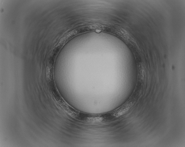 X0000061720266200512231416