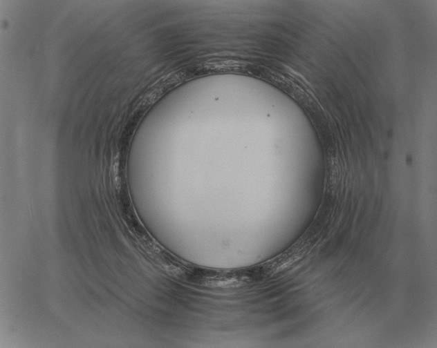 X0000061720267200512231416