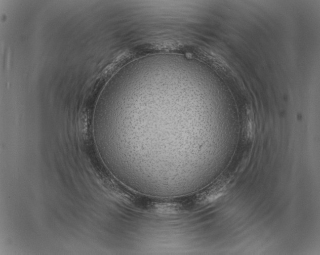 X0000061720268200512231416