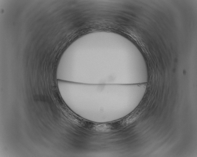 X0000061720269200512231416