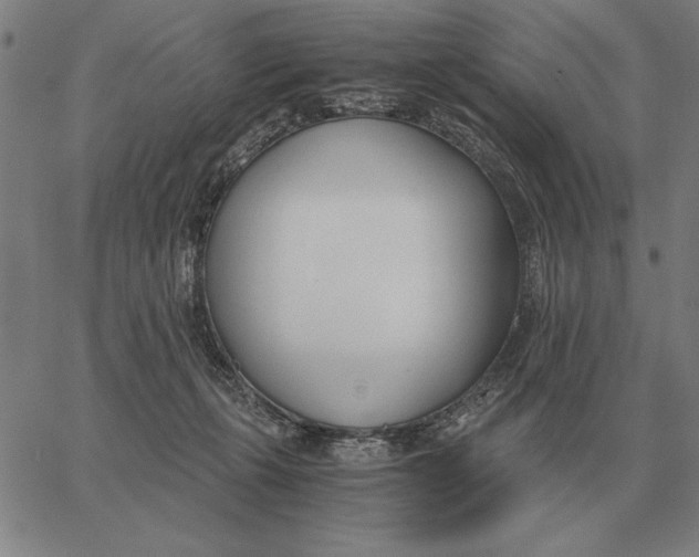 X0000061720271200512231416