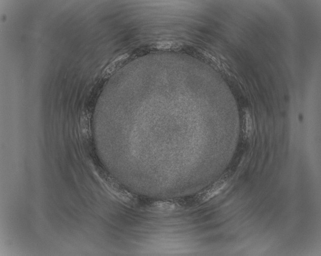 X0000061720272200512231416