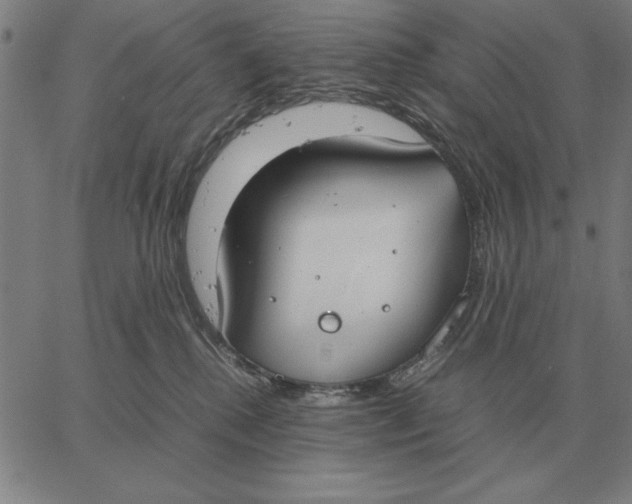 X0000061720280200512231416