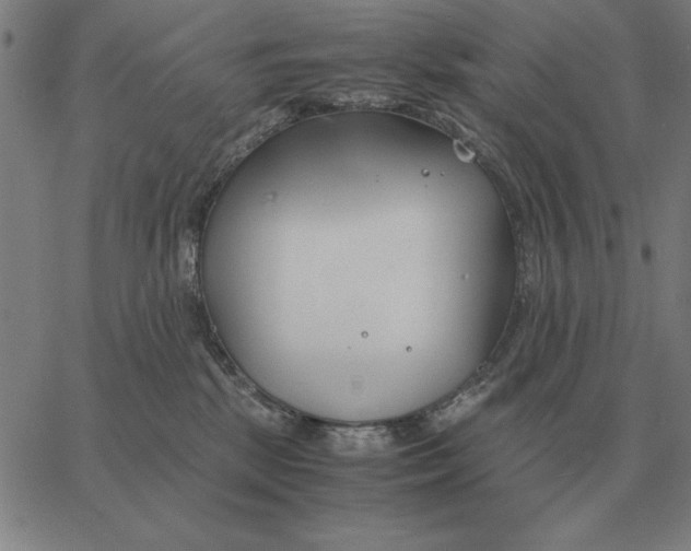 X0000061720281200512231416