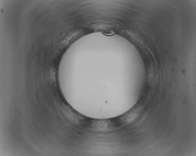 X0000061720282200512231416