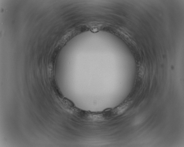 X0000061720283200512231416