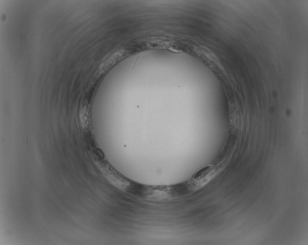 X0000061720285200512231416