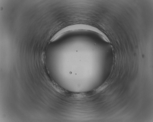 X0000061720286200512231416