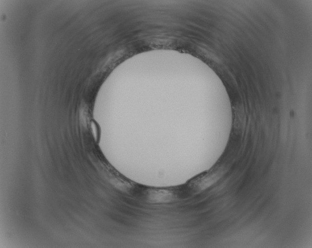 X0000061720287200512231416