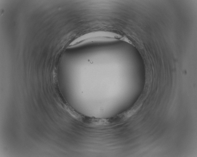 X0000061720288200512231416