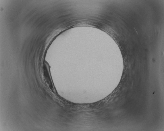 X0000061720289200512231416