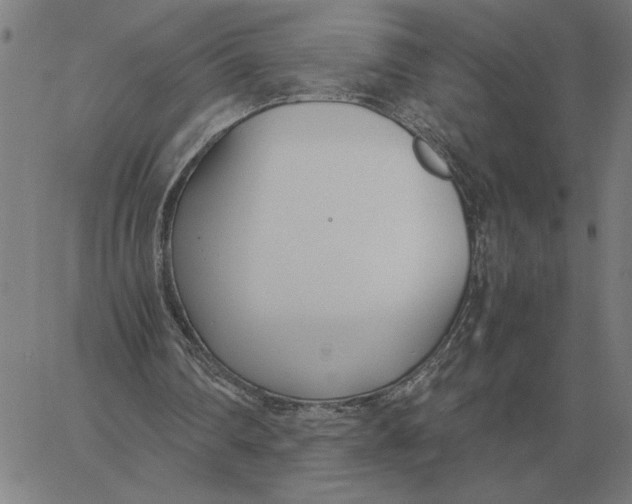 X0000061720290200512231416