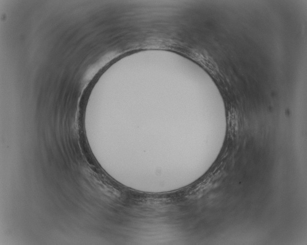 X0000061720292200512231415