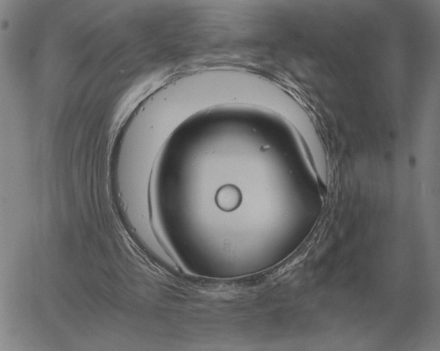 X0000061720293200512231415