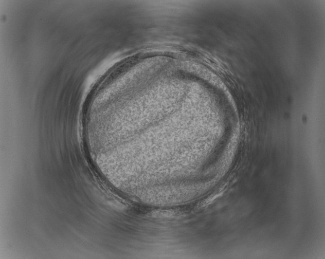 X0000061720294200512231415