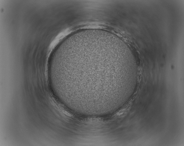 X0000061720296200512231415