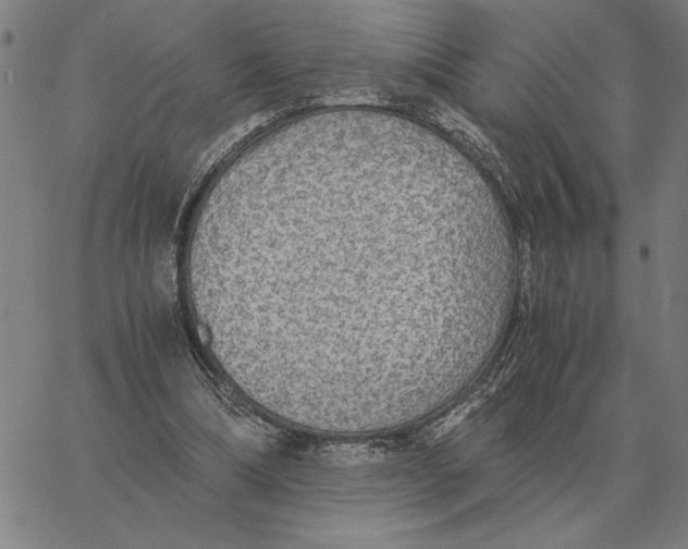 X0000061720298200512231415