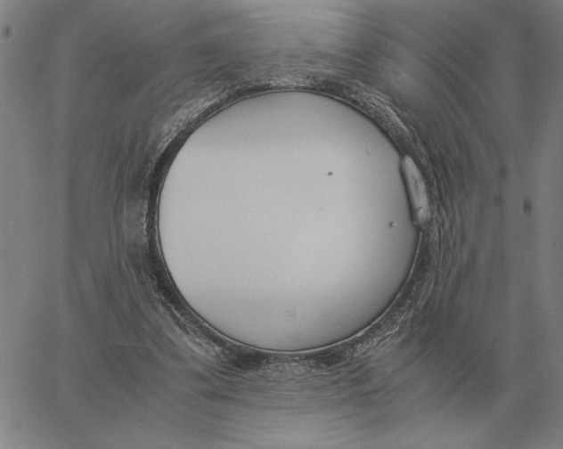 X0000061720299200512231415