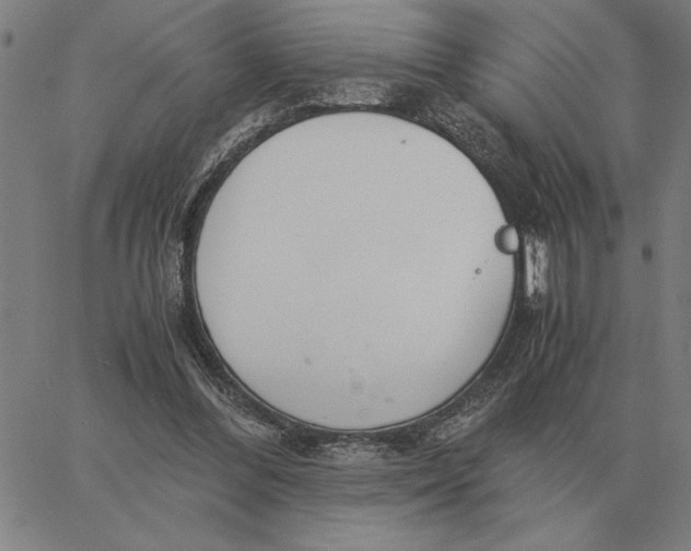 X0000061720300200512231415