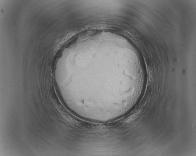 X0000061720301200512231415