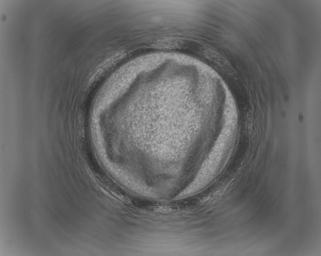 X0000061720303200512231415