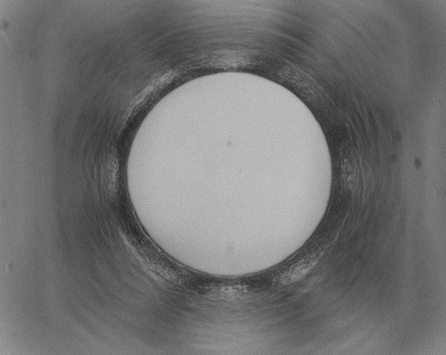 X0000061720304200512231415